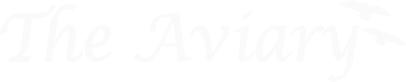 A green background with white letters that say avi.