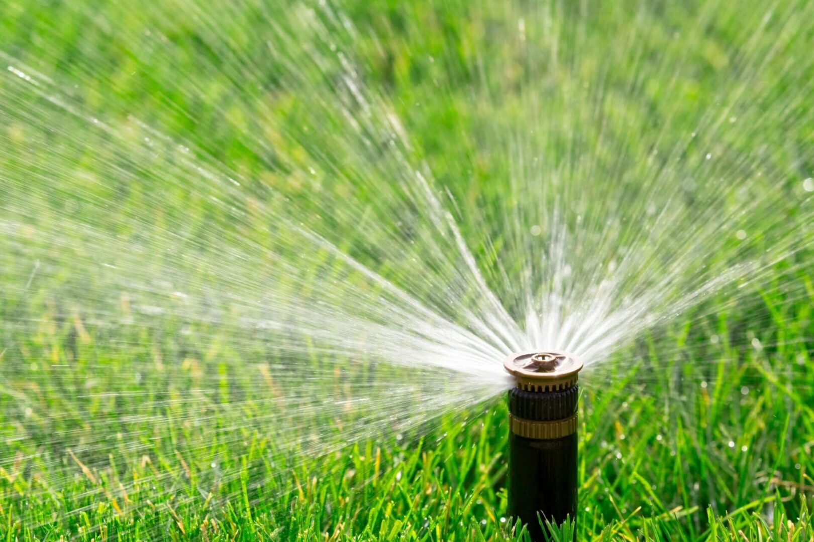 A water sprinkler spraying out of the ground.